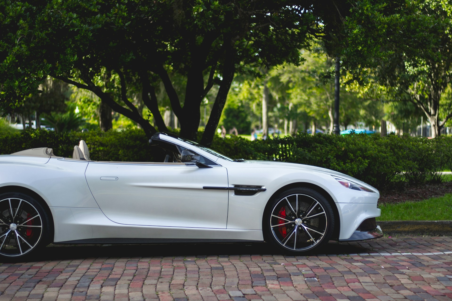 Wei&szlig;es Aston Martin Cabrio in der N&auml;he von B&auml;umen geparkt