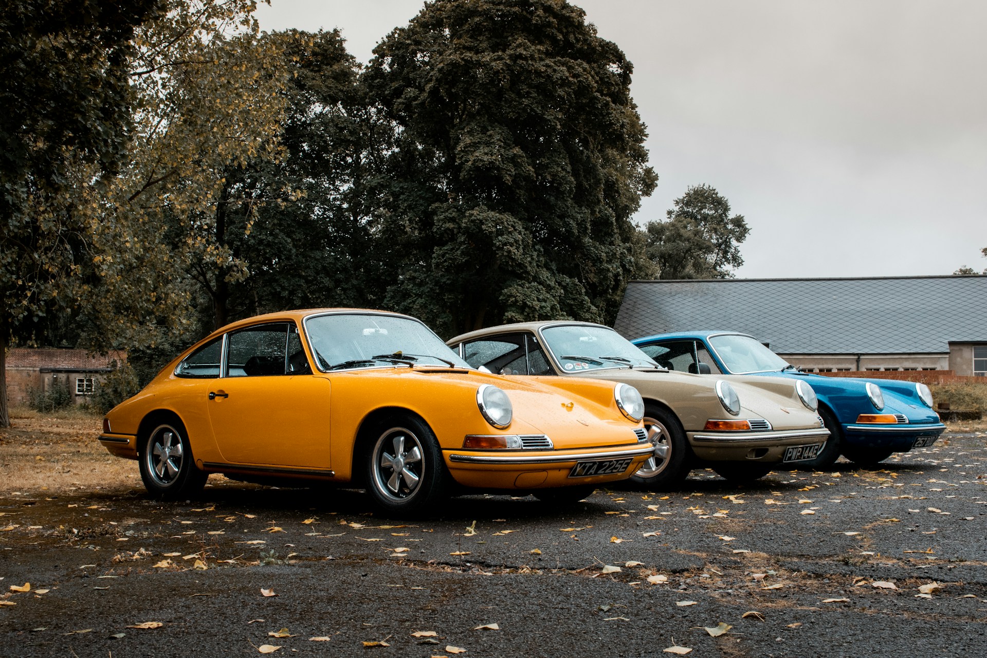 Porsche Oldtimer gelb, beige, blau mit B&auml;umen im Hintergrund